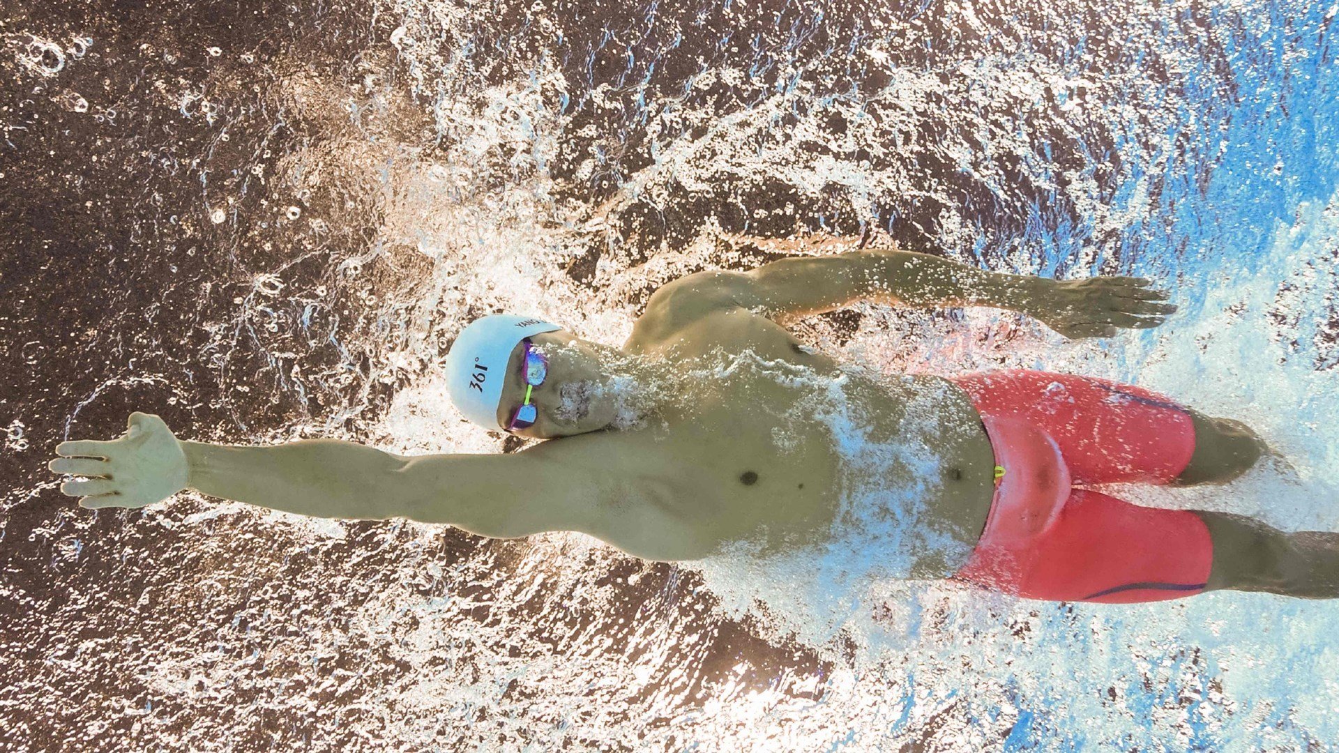 Chinese Taipei在2024年乒乓世界杯赛场上的精彩瞬间,2024世界乒乓球锦标赛