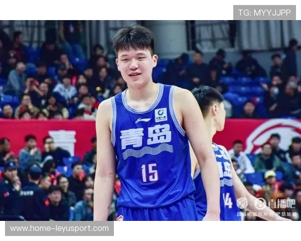 杨瀚森外线隐患引爆讨论：三分短板真要命？，杨瀚西简介