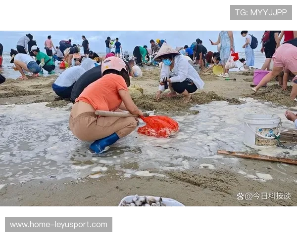 台风过境后惠州市民赶海喜获丰收，惠州台风什么时候来